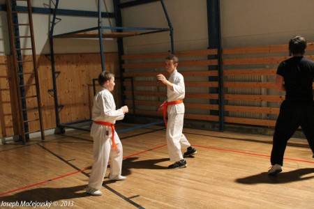 Trening februar 2013 (3)